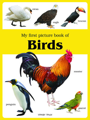cover image of My First Picture Book of Birds